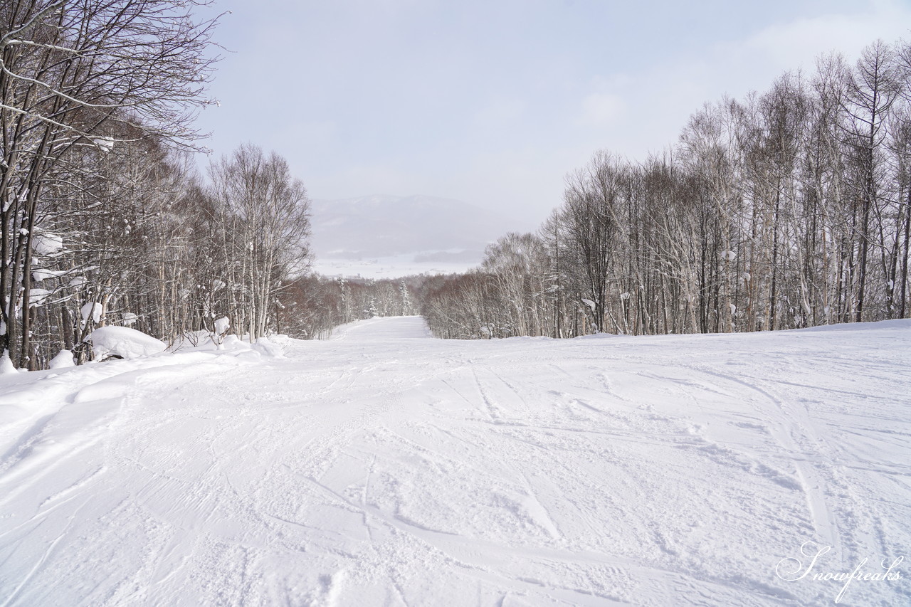 2020 北海道ローカルスキー場巡り ～幌加内町・ほろたちスキー場＆比布町・ぴっぷスキー場～